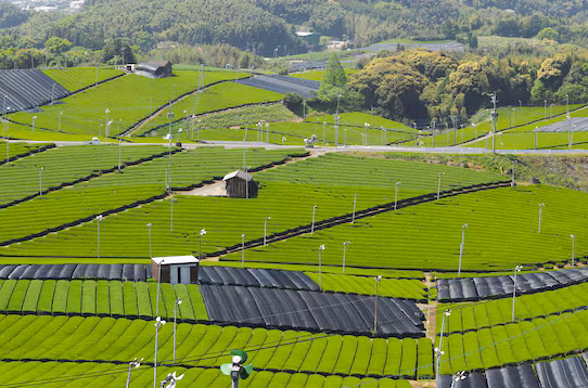 配、農(nóng)網(wǎng)解決方案